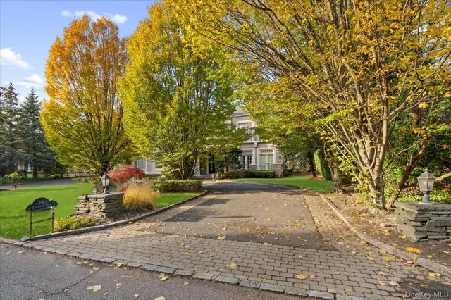 a view of a park with large trees