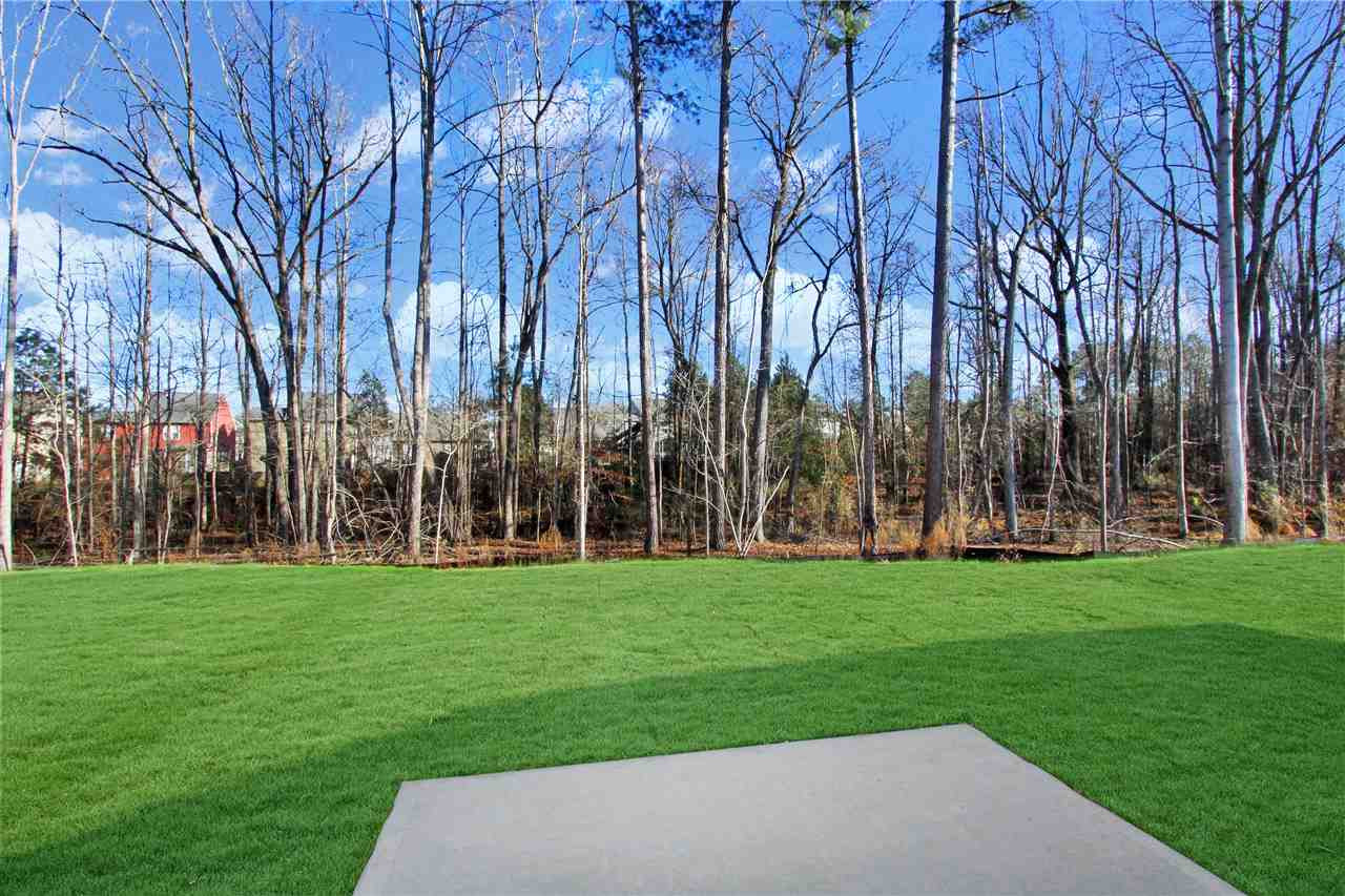 180 Yellow Jacket Ridge Clayton, NC 27520 - Photo 19 of 30 Backyard