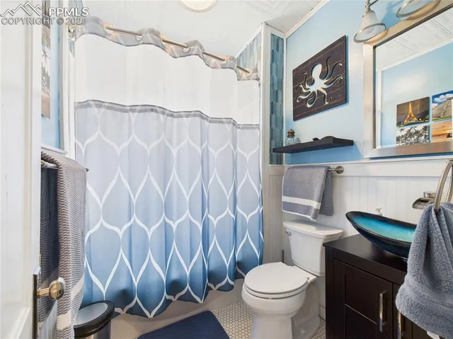 a white toilet sitting next to a shower curtain