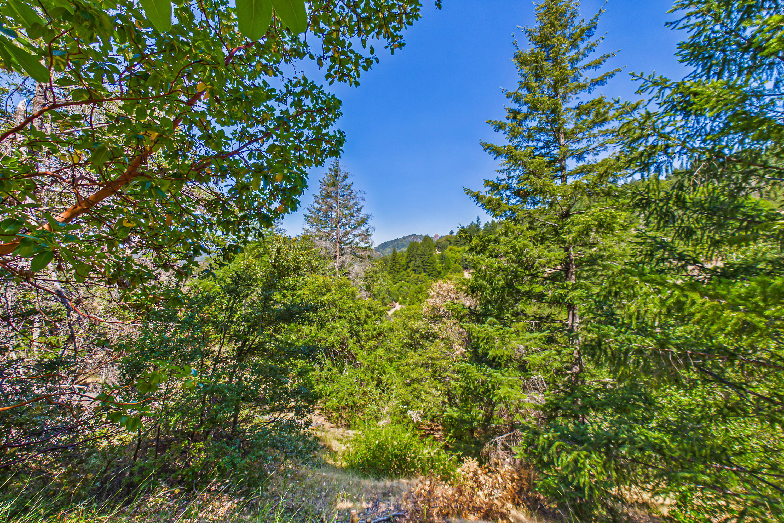 60890 Bell Springs Road Laytonville, CA 95454 - Photo 51 of 77