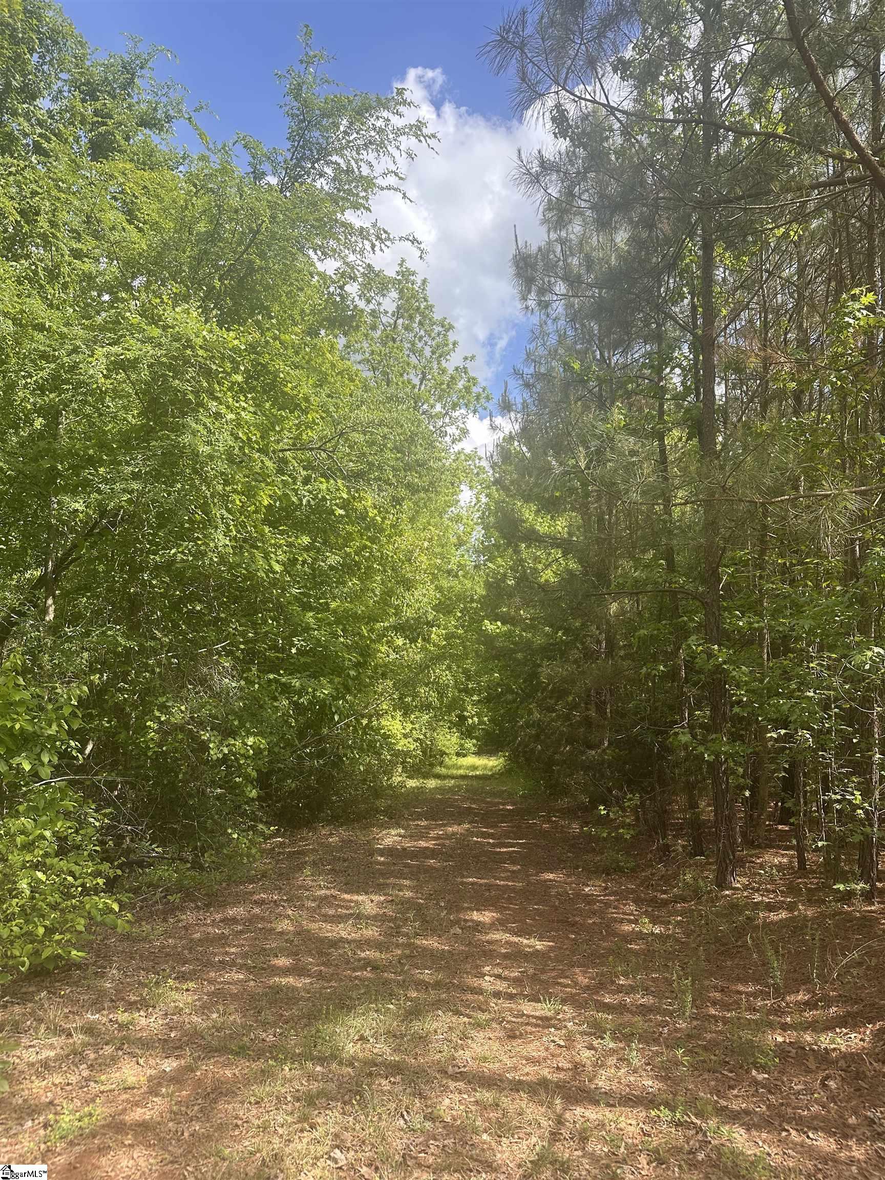 0 Hemlock Drive Clinton, SC 29325 - Photo 4 of 23