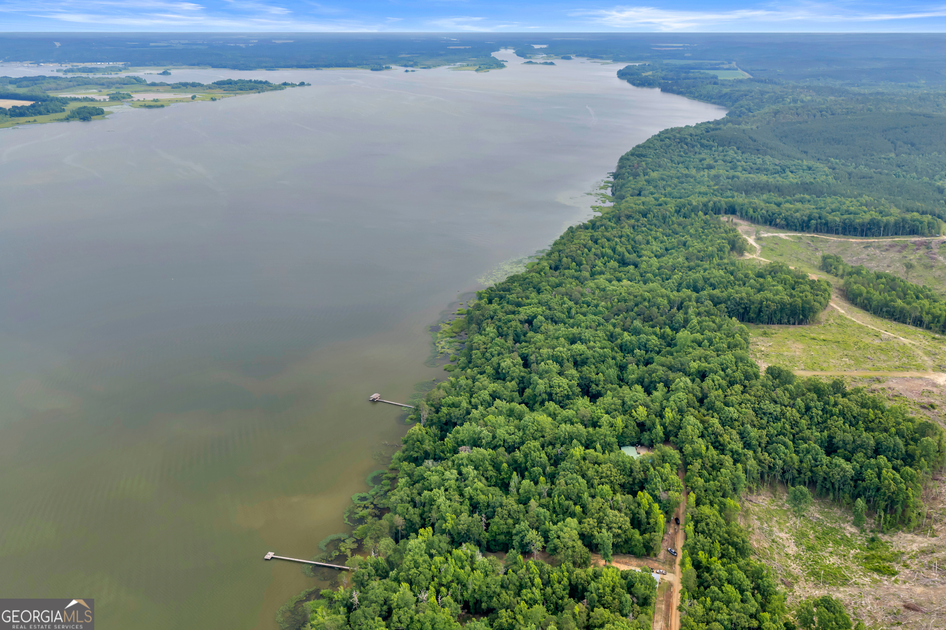 473 Vining Branch Road Georgetown, GA 39854 - Photo 12 of 43 an aerial view of a houses with a lake view