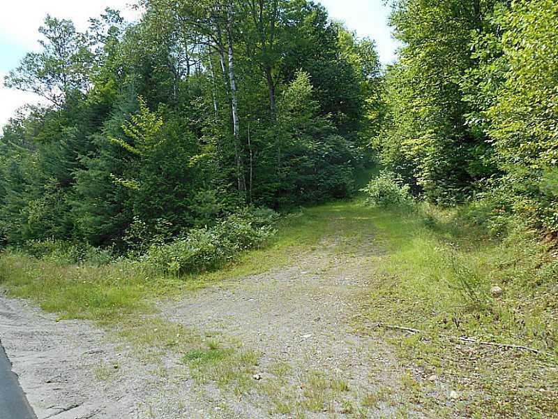Lot 5 Reeds Mills Road Madrid Township, ME 04966 - Photo 20 of 20 Exterior Front. Driveway