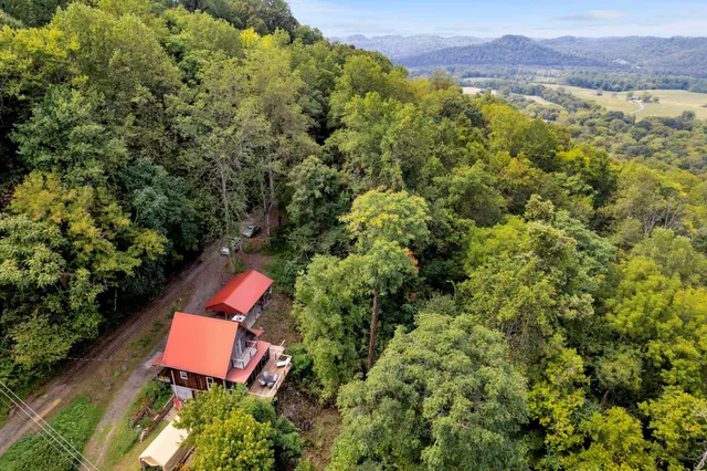 a view of a city with mountains in the background