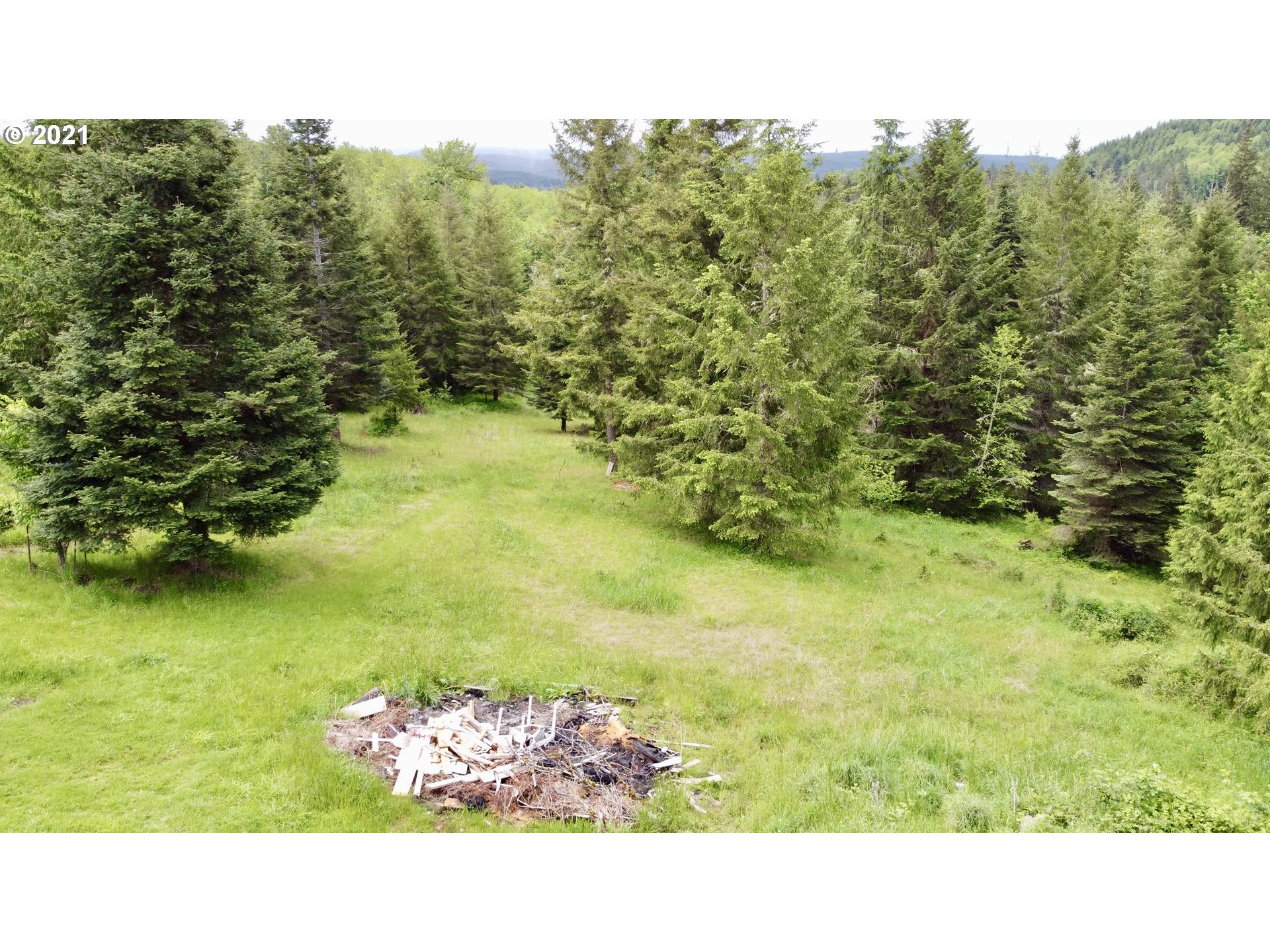 951 Frank Smith Road Toutle, WA 98649 - Photo 16 of 24
