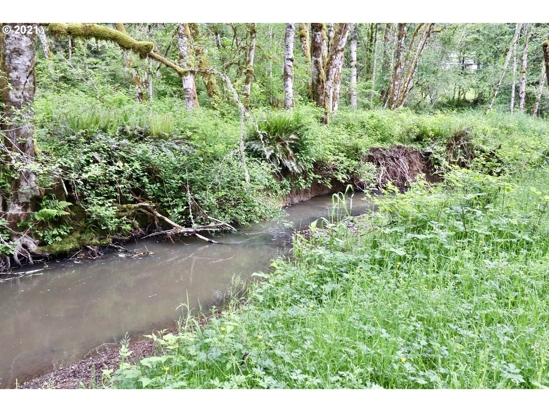 951 Frank Smith Road Toutle, WA 98649 - Photo 19 of 24