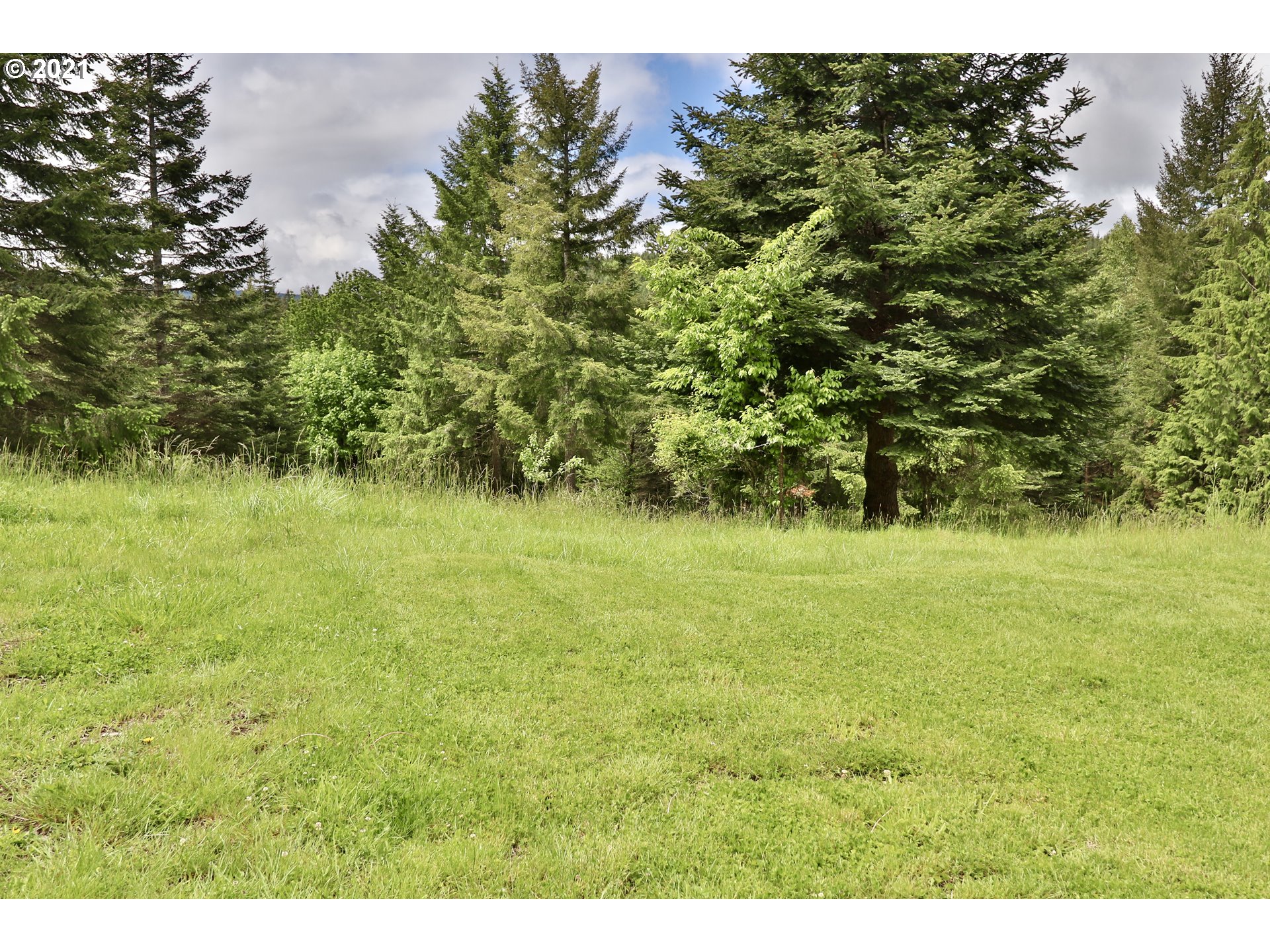 951 Frank Smith Road Toutle, WA 98649 - Photo 24 of 24