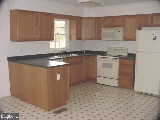 6027 Basket Switch Road Snow Hill, MD 21863 - Photo 3 of 8