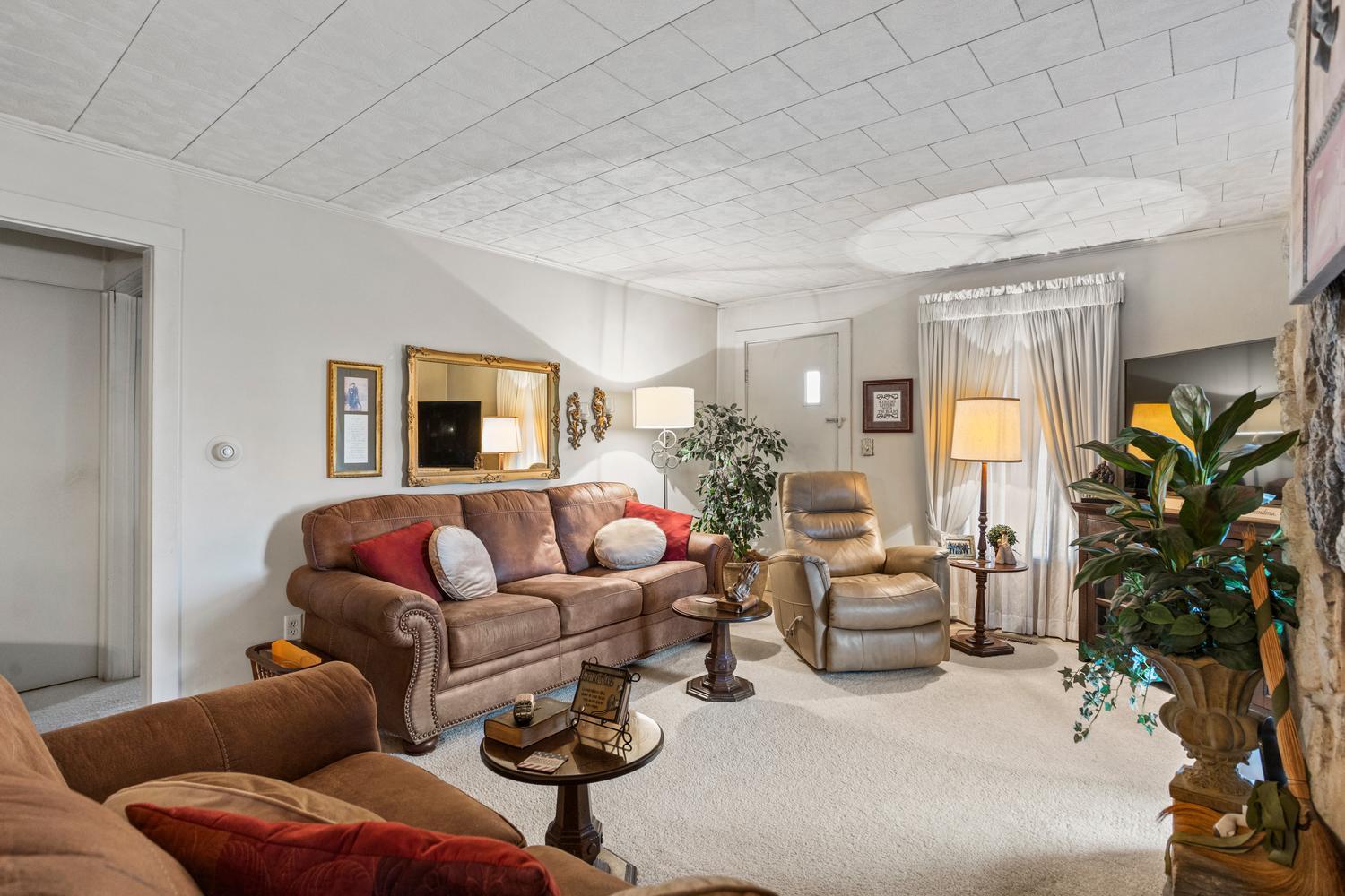 4520 North 600 East Road Sidell, IL 61876 - Photo 14 of 31 a living room with furniture fireplace and potted plant