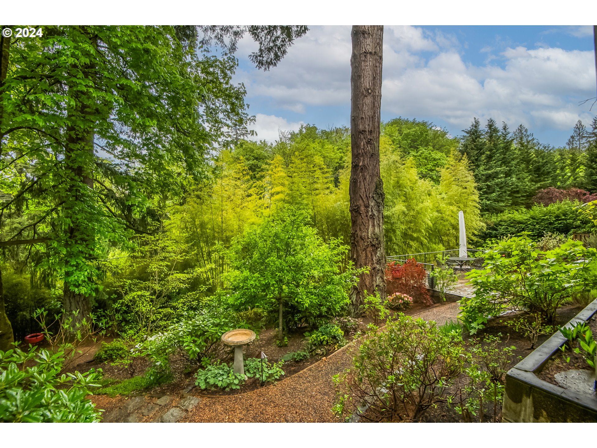 1609 Southwest Joshua Street Portland, OR 97219 - Photo 33 of 48 Backyard