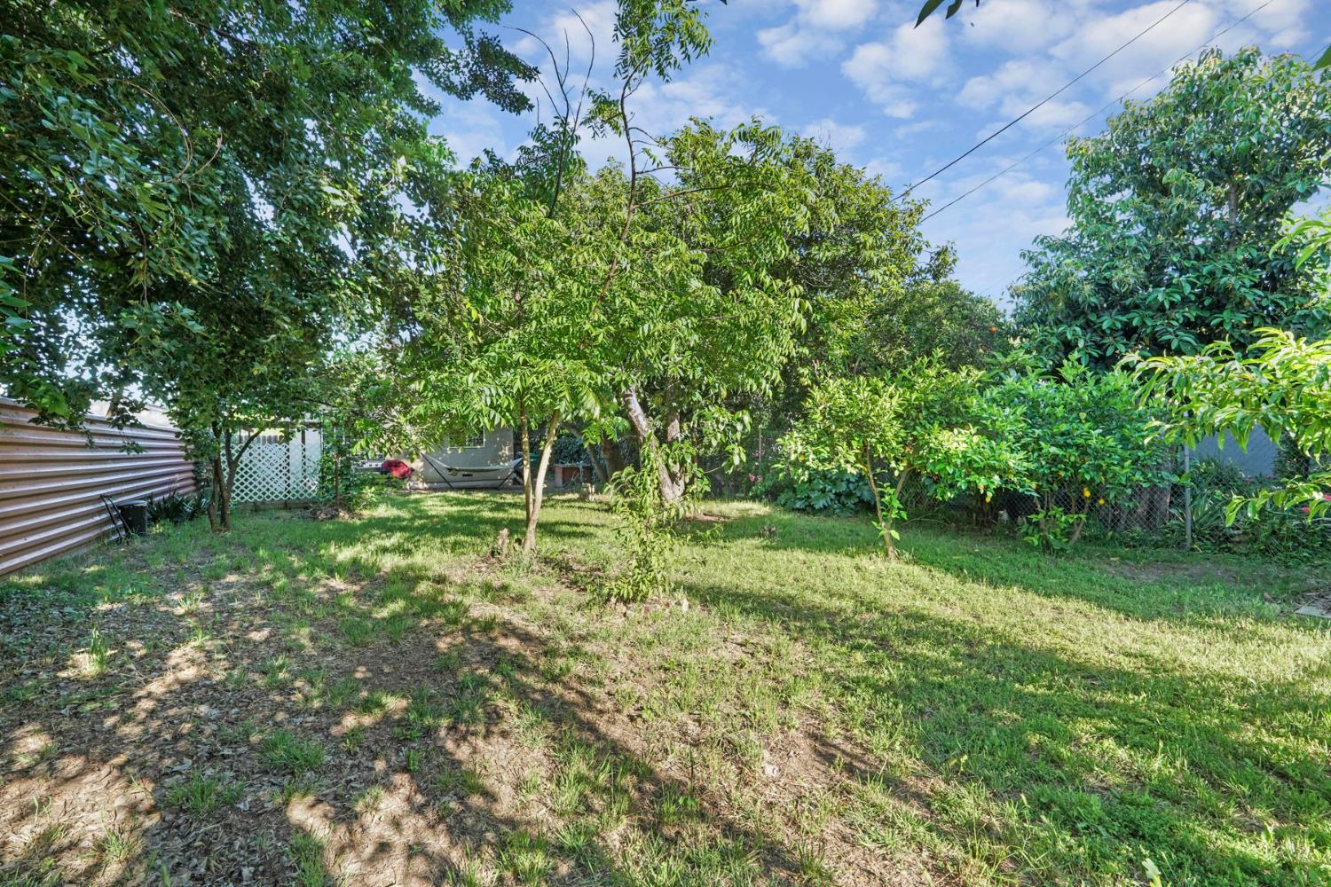 223 Rush Street Lodi, CA 95240 - Photo 18 of 21 a view of a garden with a tree