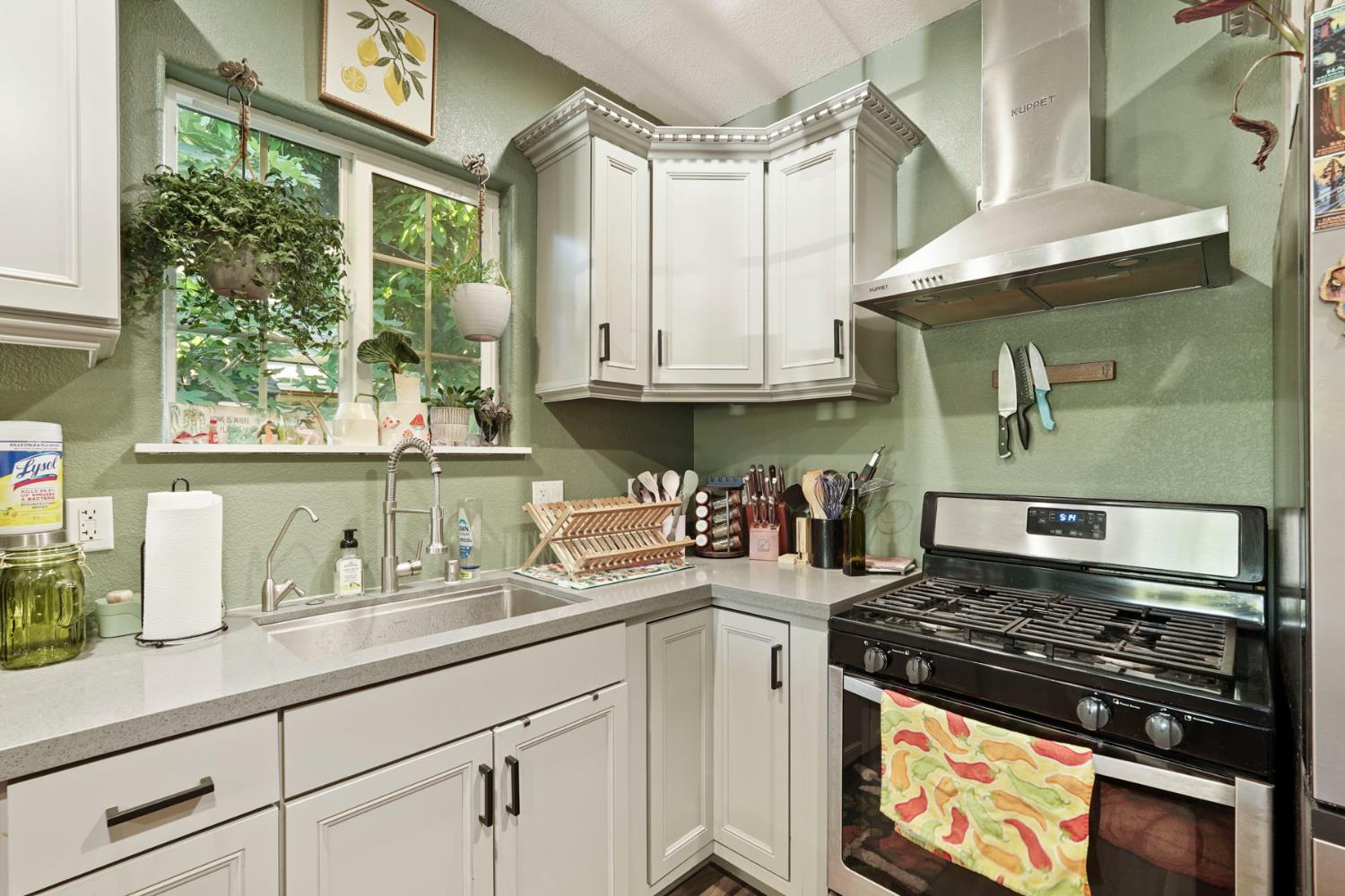 223 Rush Street Lodi, CA 95240 - Photo 9 of 21 a kitchen with granite countertop a stove and a sink