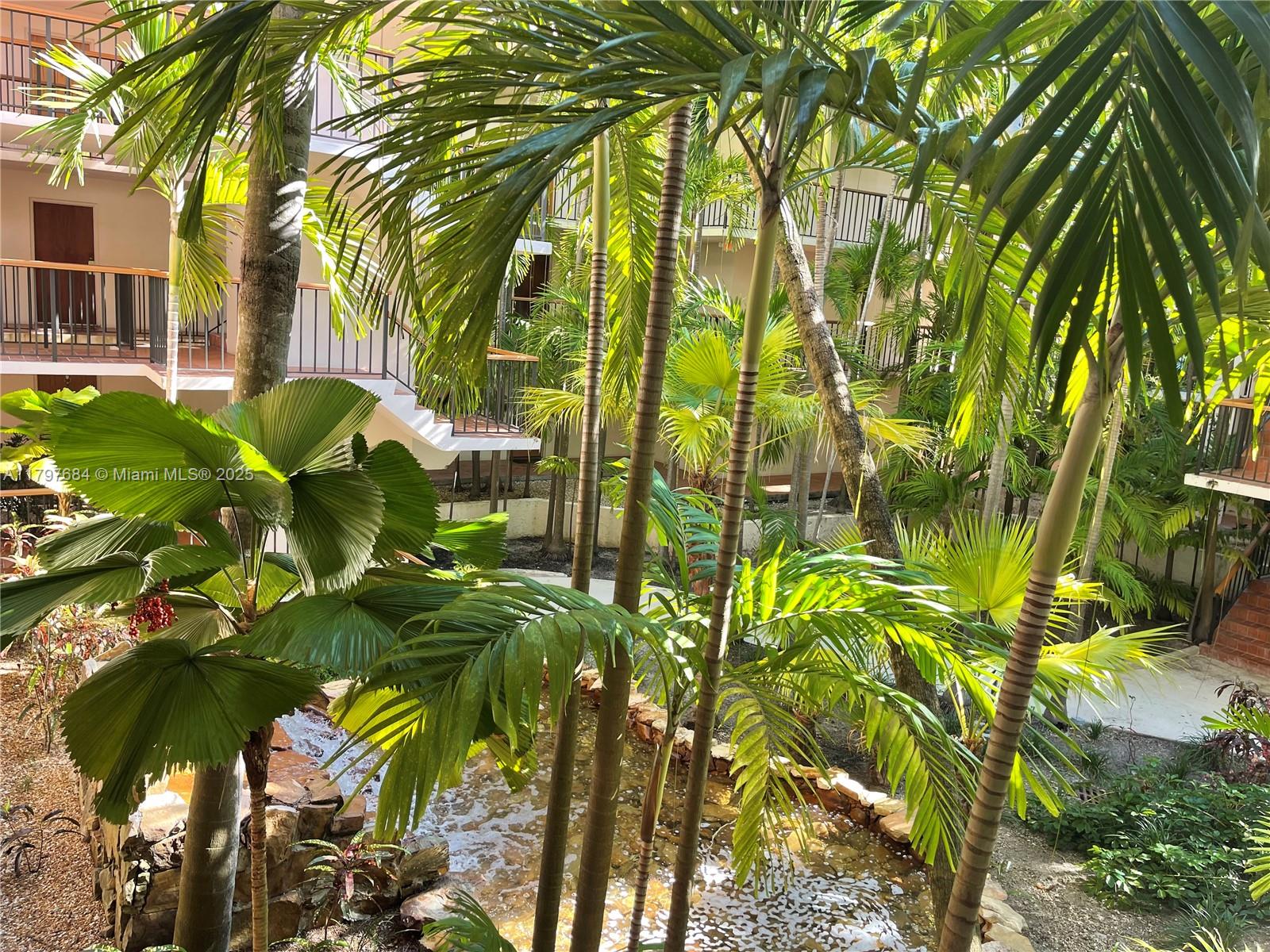 55 Ocean Ln Drive, Unit 2030 Key Biscayne, FL 33149 - Photo 13 of 19 a close up of a plant in a garden