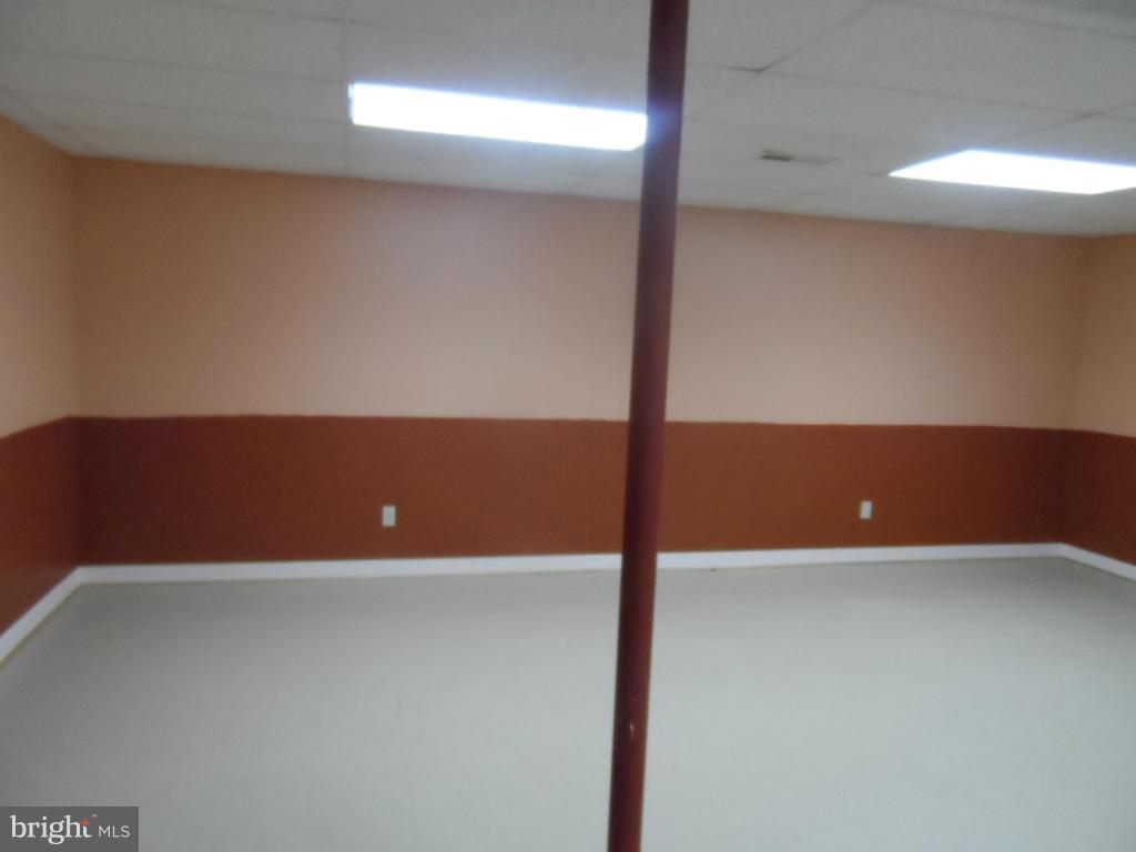 20144 Lake Orange Road Orange, VA 22960 - Photo 16 of 24 Basement