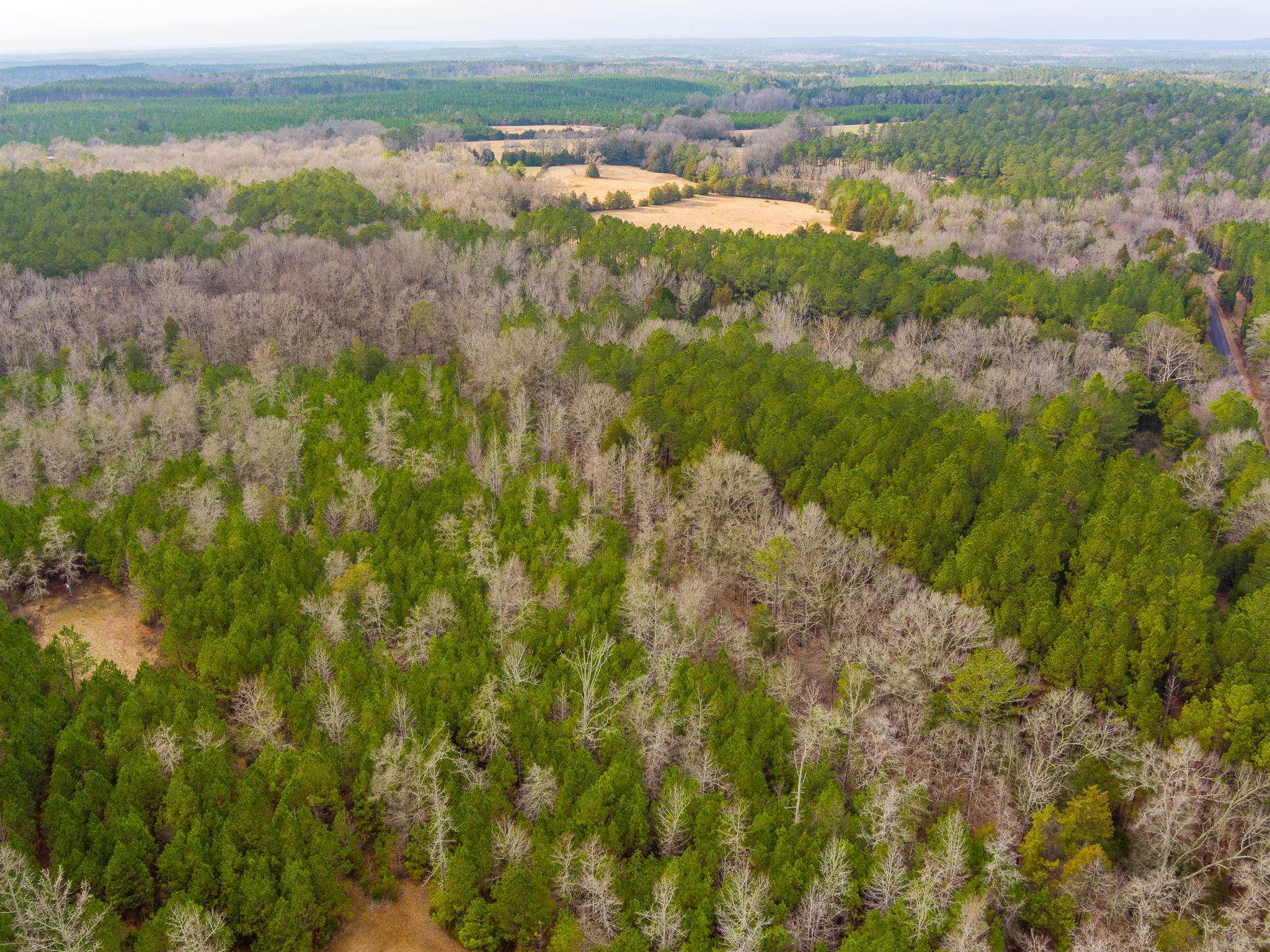 Cox Road Troy, SC 29848 - Photo 11 of 17