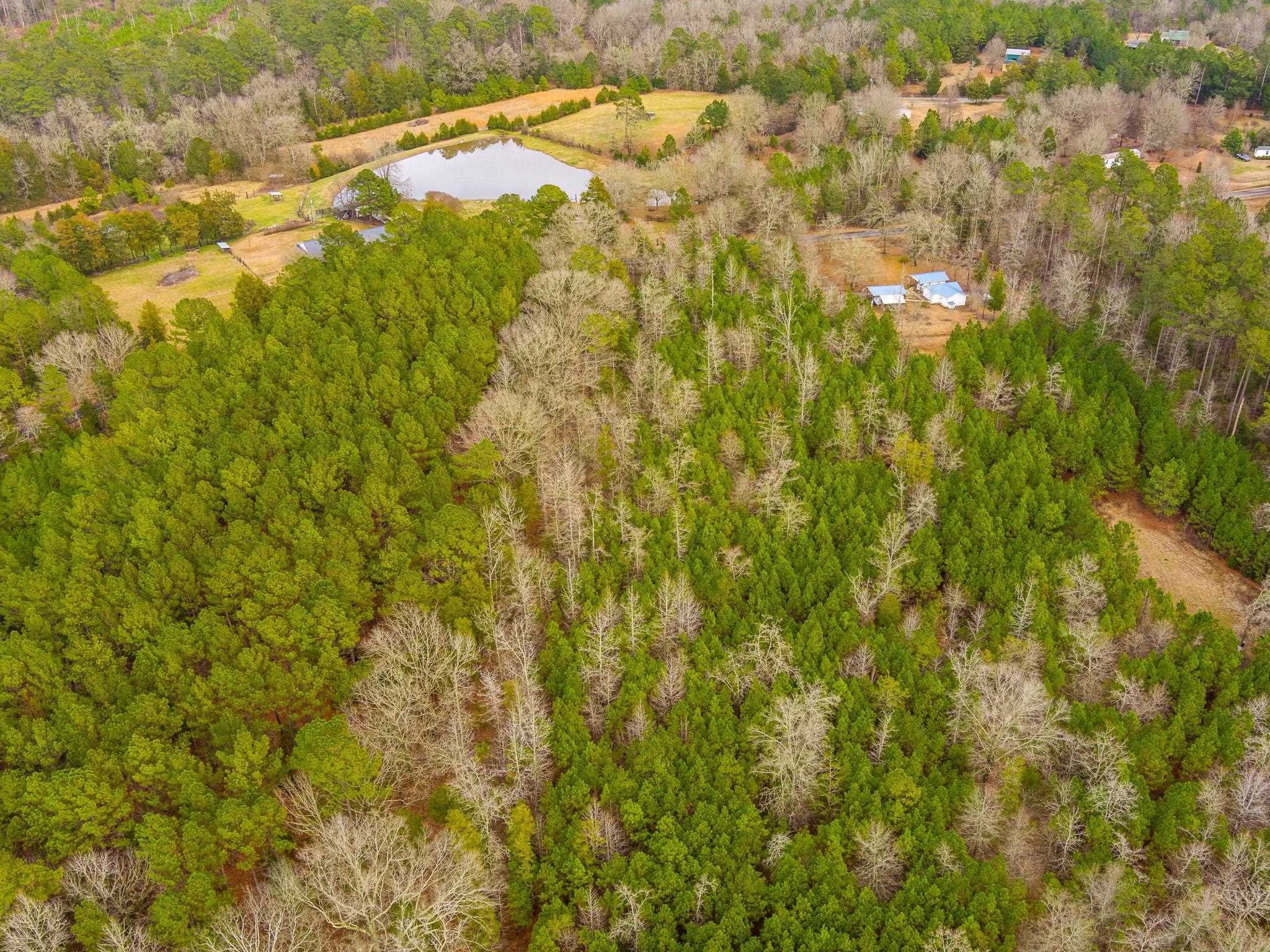 Cox Road Troy, SC 29848 - Photo 15 of 17