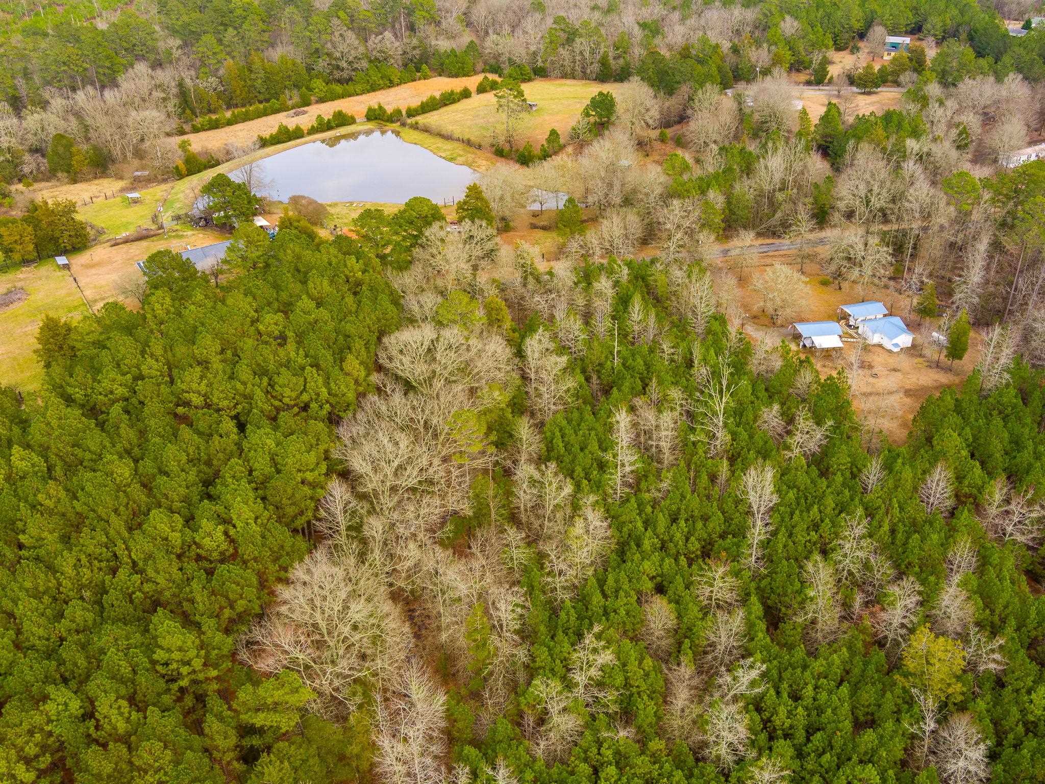 Cox Road Troy, SC 29848 - Photo 16 of 17