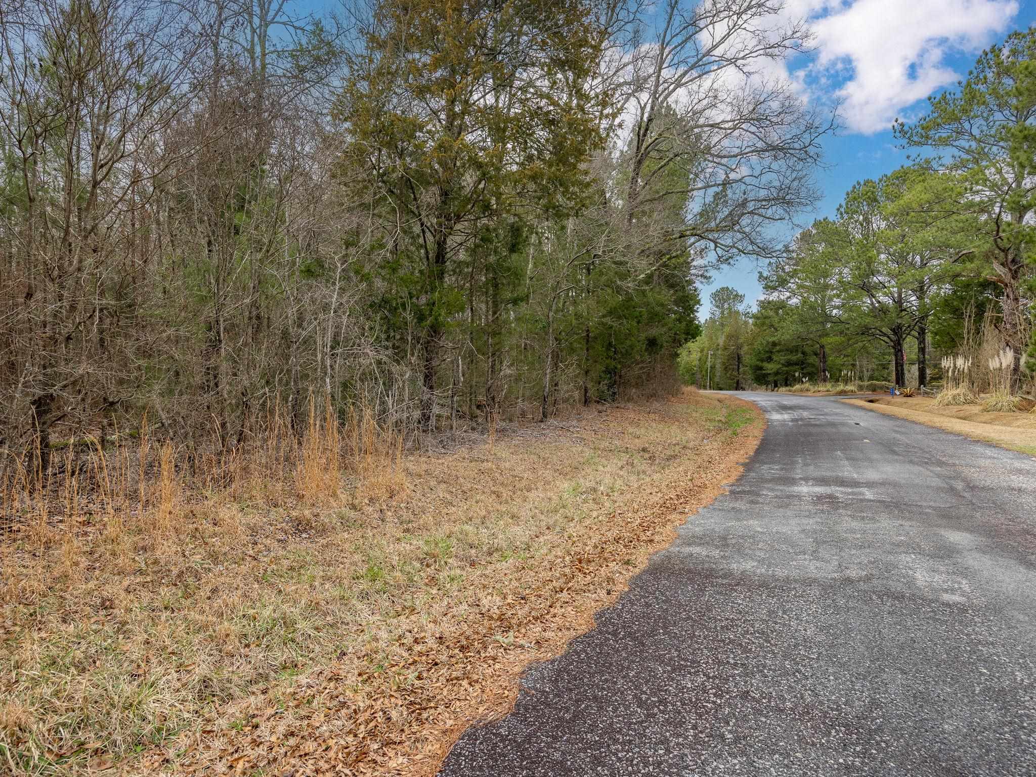 Cox Road Troy, SC 29848 - Photo 2 of 17