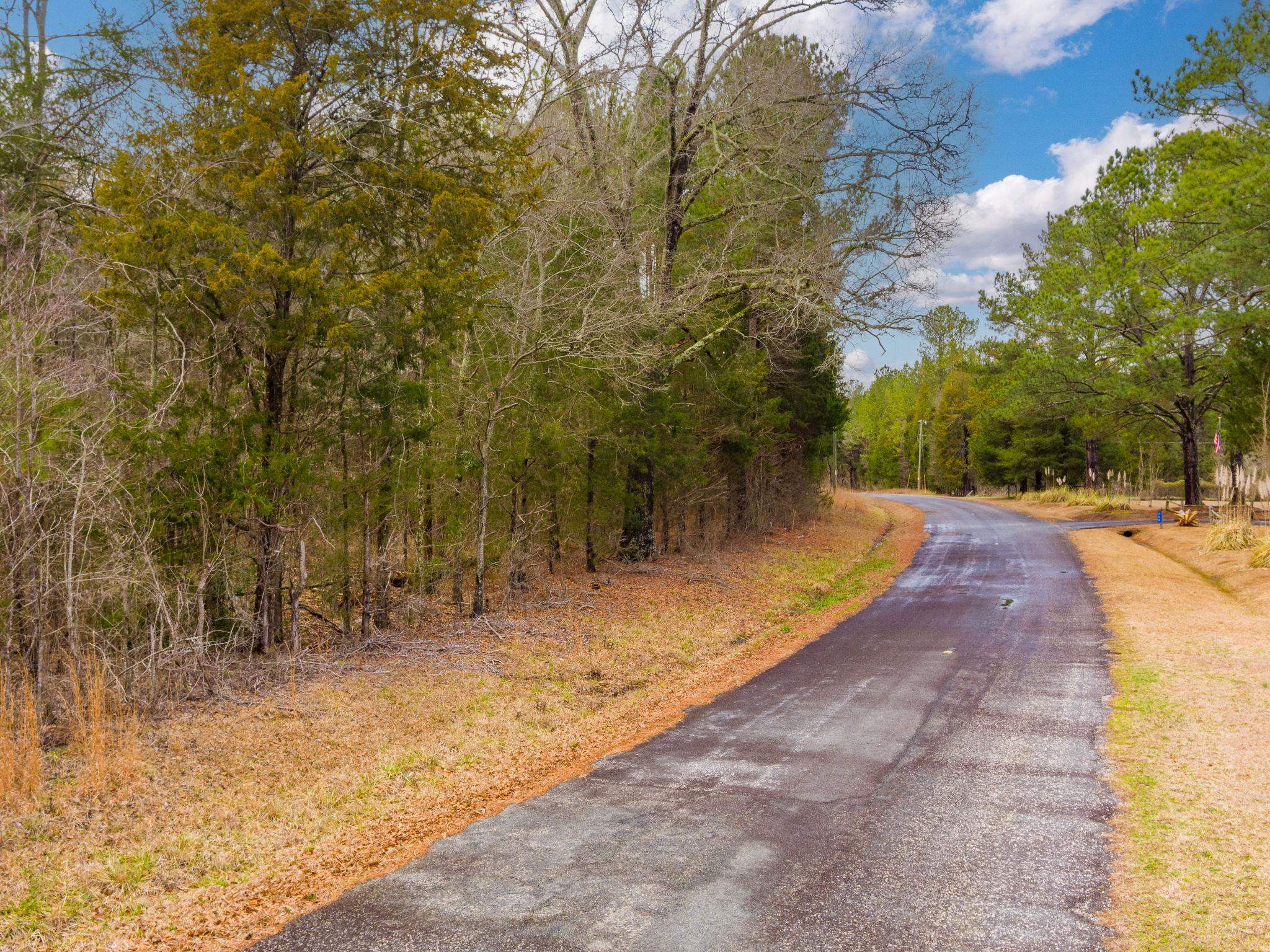 Cox Road Troy, SC 29848 - Photo 3 of 17