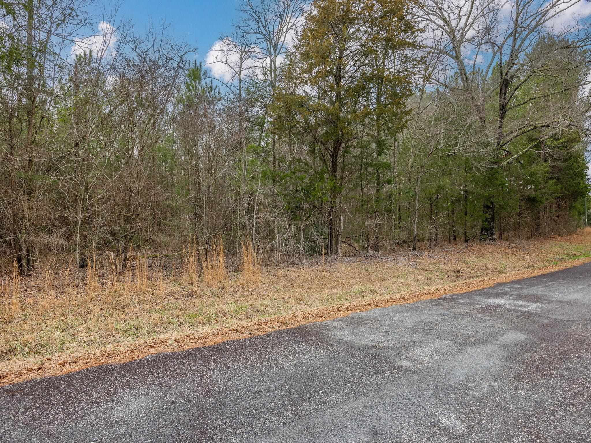 Cox Road Troy, SC 29848 - Photo 4 of 17