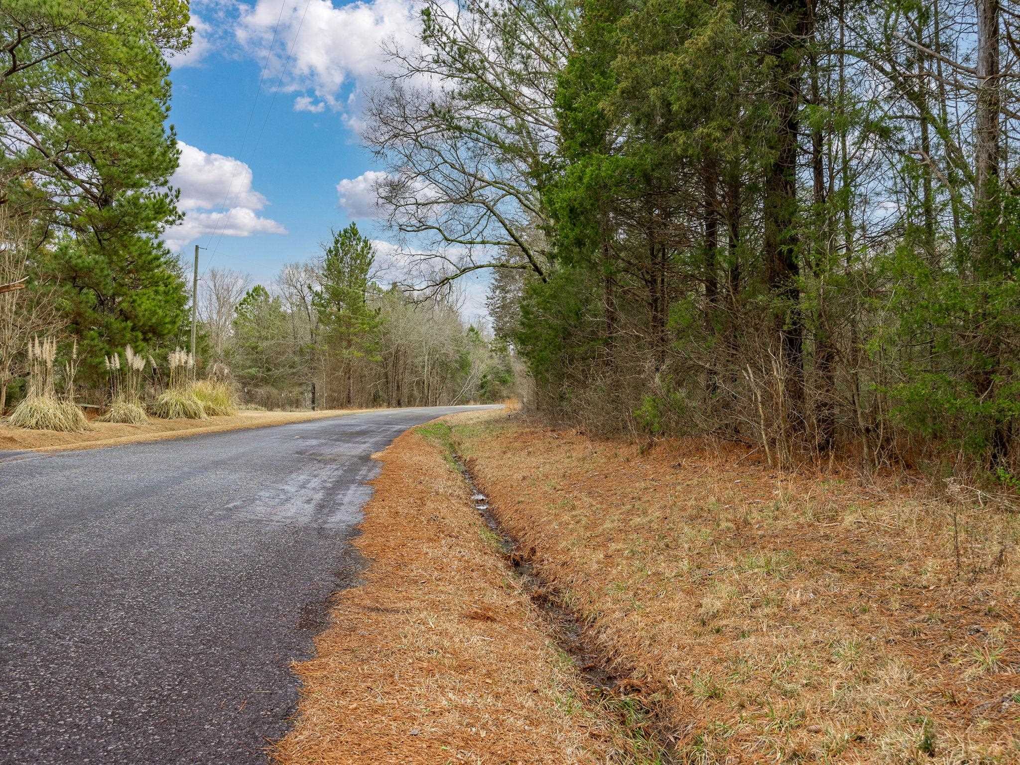 Cox Road Troy, SC 29848 - Photo 5 of 17