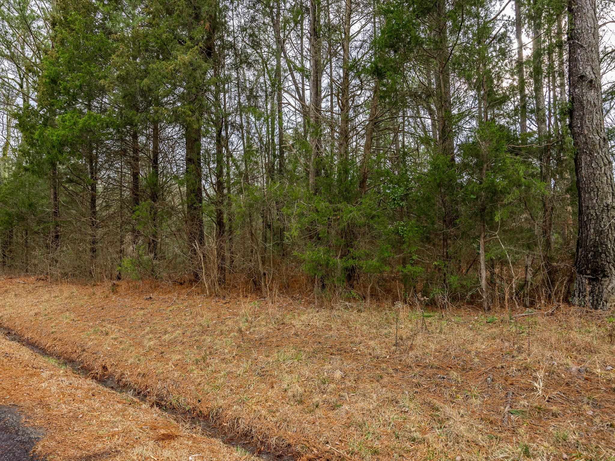 Cox Road Troy, SC 29848 - Photo 6 of 17