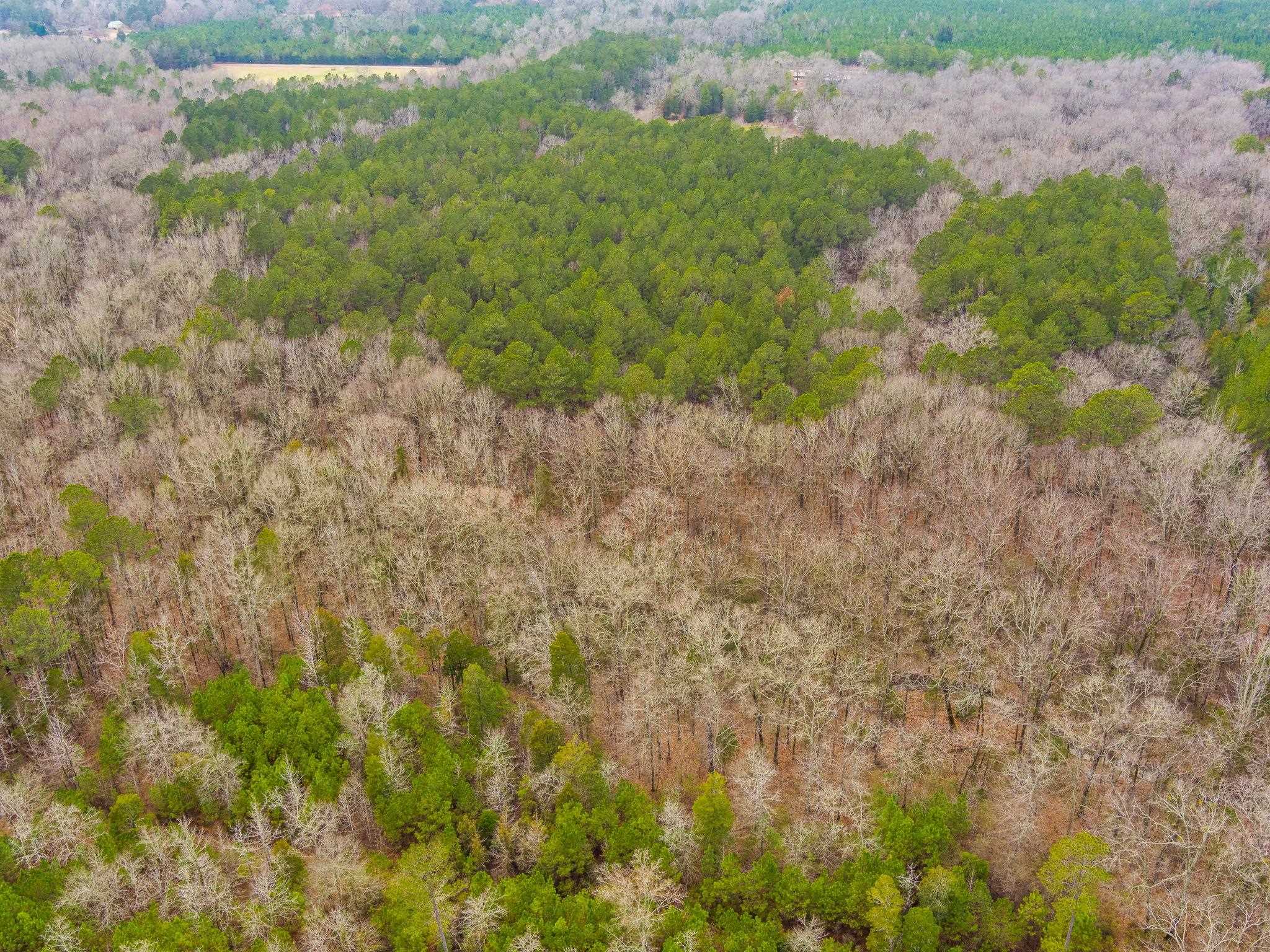 Cox Road Troy, SC 29848 - Photo 9 of 17