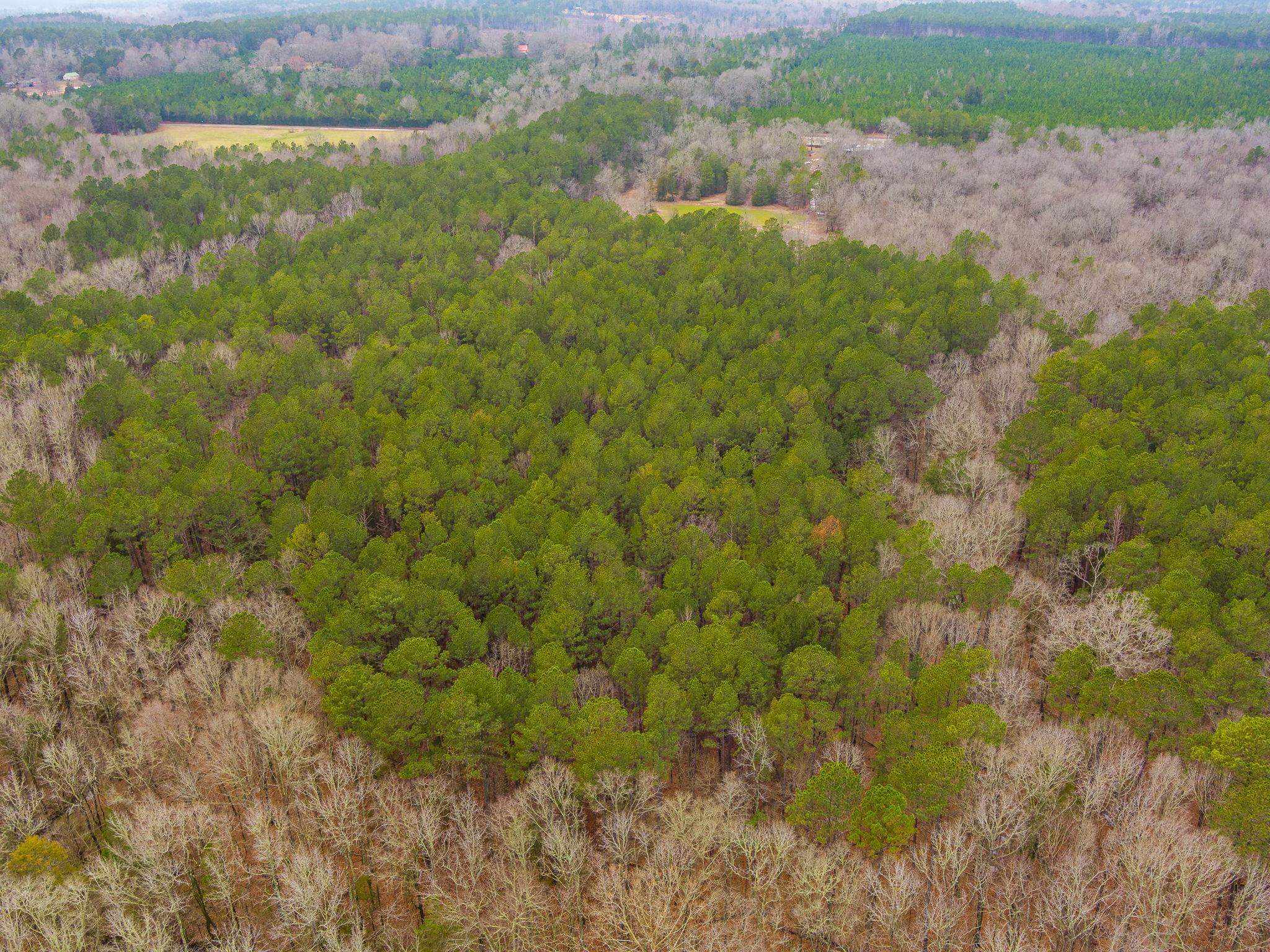 Cox Road Troy, SC 29848 - Photo 10 of 17