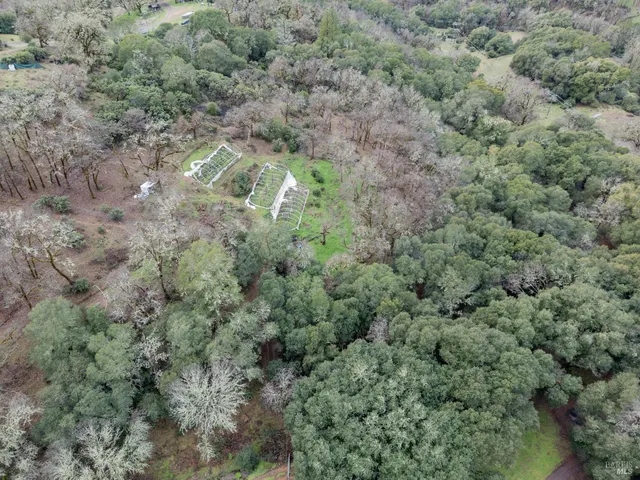 a aerial view of a house with a yard and large trees