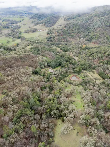 an aerial view of forest