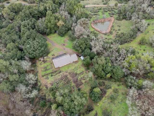 a view of a forest with a building