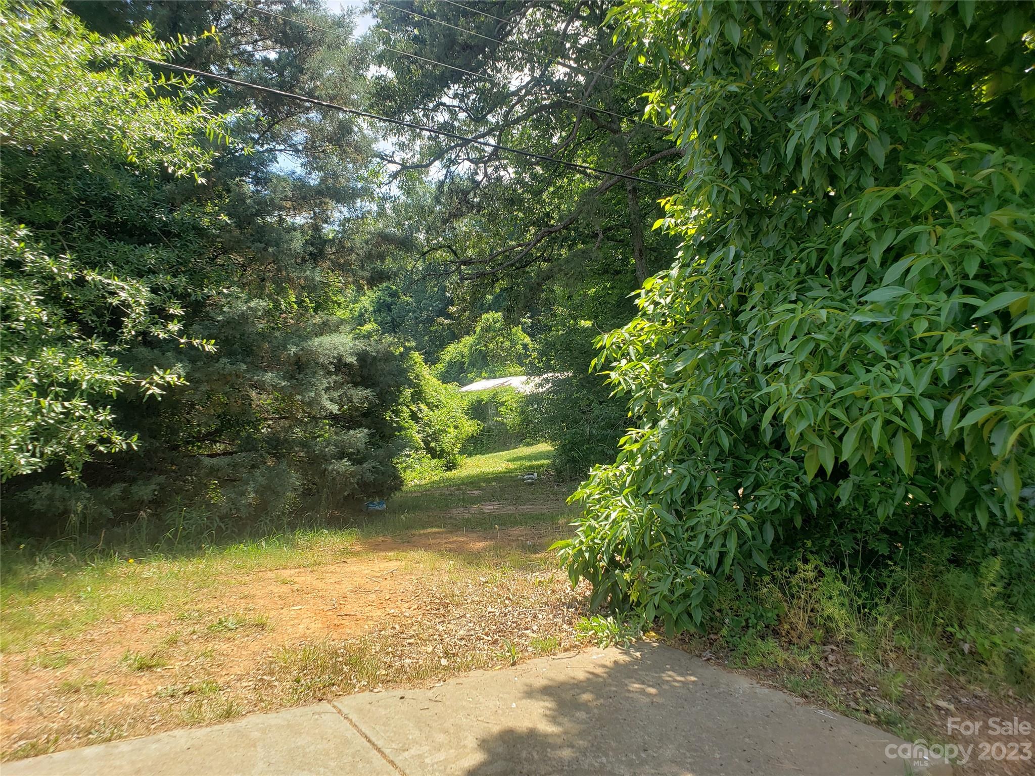 a view of backyard with plants and trees