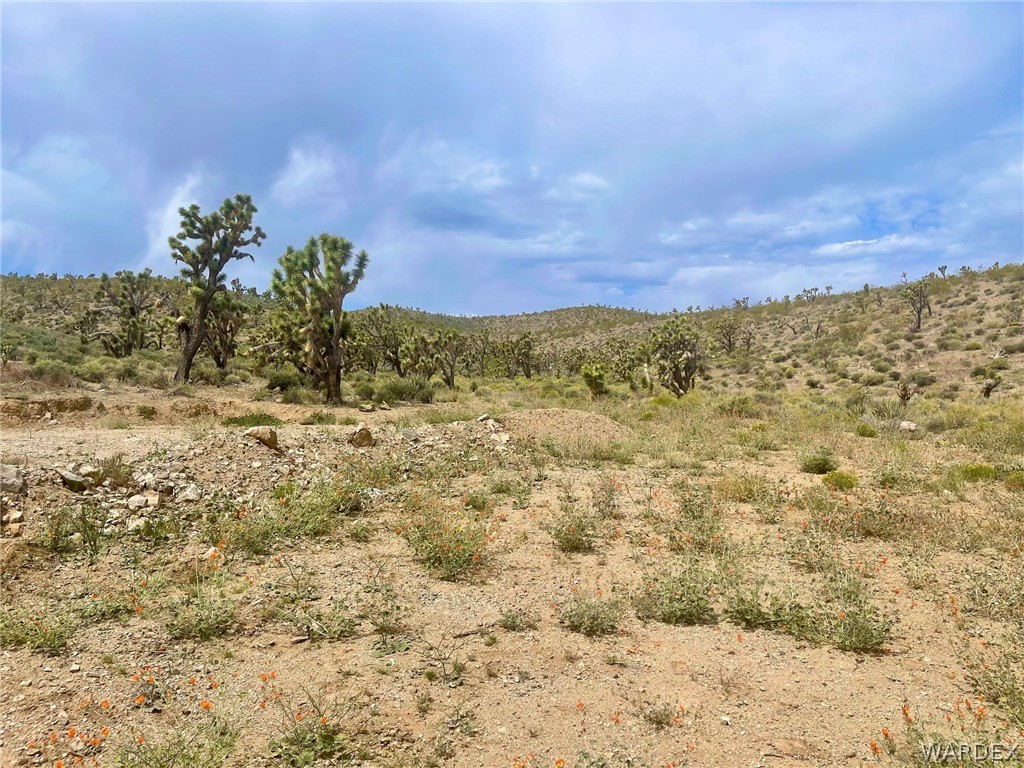 336-05-033 Smith Road Meadview, AZ 86444 - Photo 18 of 36 a view of a yard