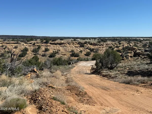 $99,999 | 310 North County Road 6726, Unit 430, St. Johns, AZ 85936