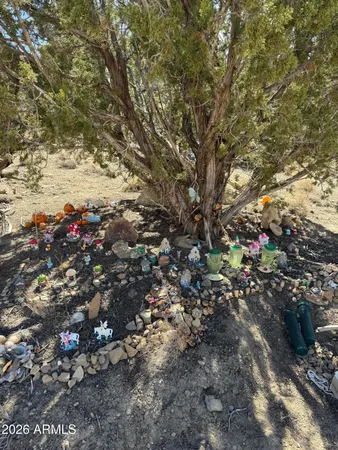 $99,999 | 310 North County Road 6726, Unit 430, St. Johns, AZ 85936