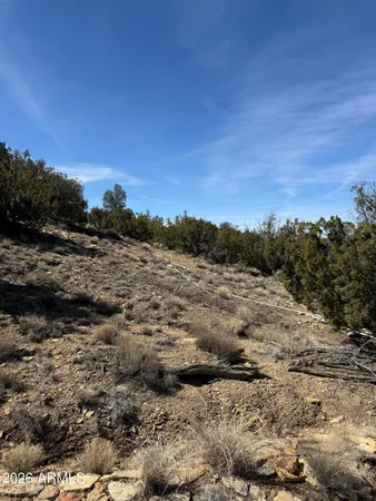 $99,999 | 310 North County Road 6726, Unit 430, St. Johns, AZ 85936