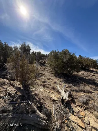 $99,999 | 310 North County Road 6726, Unit 430, St. Johns, AZ 85936