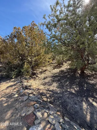 $99,999 | 310 North County Road 6726, Unit 430, St. Johns, AZ 85936