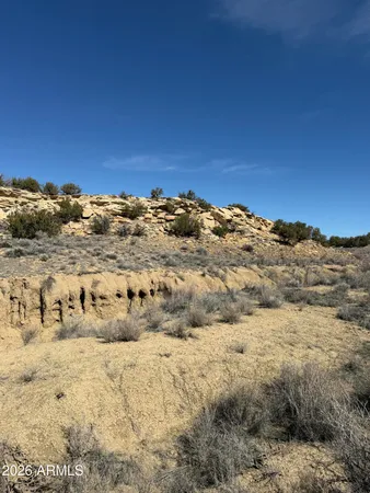 $99,999 | 310 North County Road 6726, Unit 430, St. Johns, AZ 85936