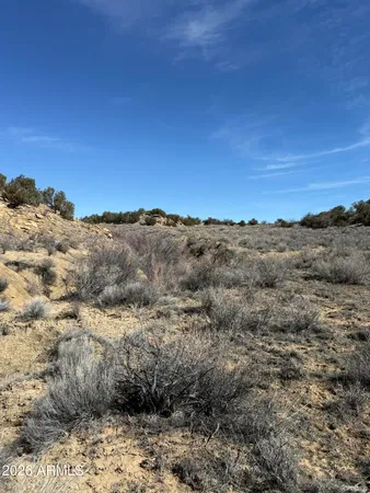 $99,999 | 310 North County Road 6726, Unit 430, St. Johns, AZ 85936