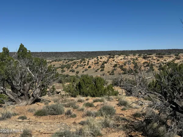 $119,999 | 310 North County Road 6726, Unit 430, St. Johns, AZ 85936