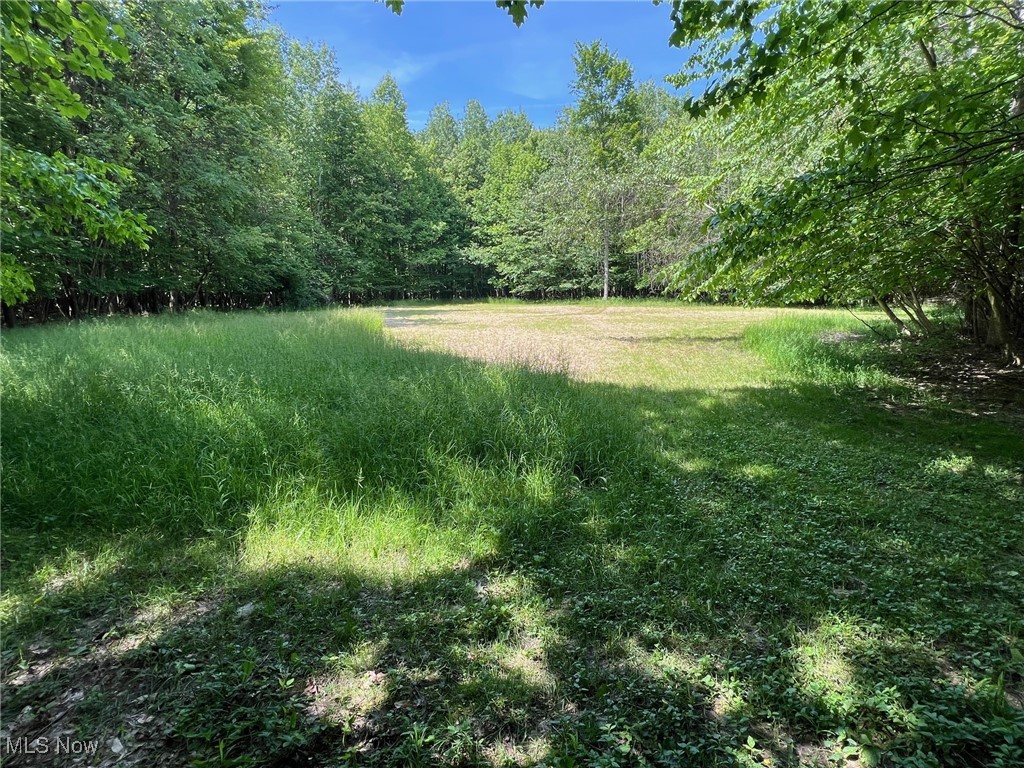Center Road Conneaut, OH 44030 - Photo 1 of 10