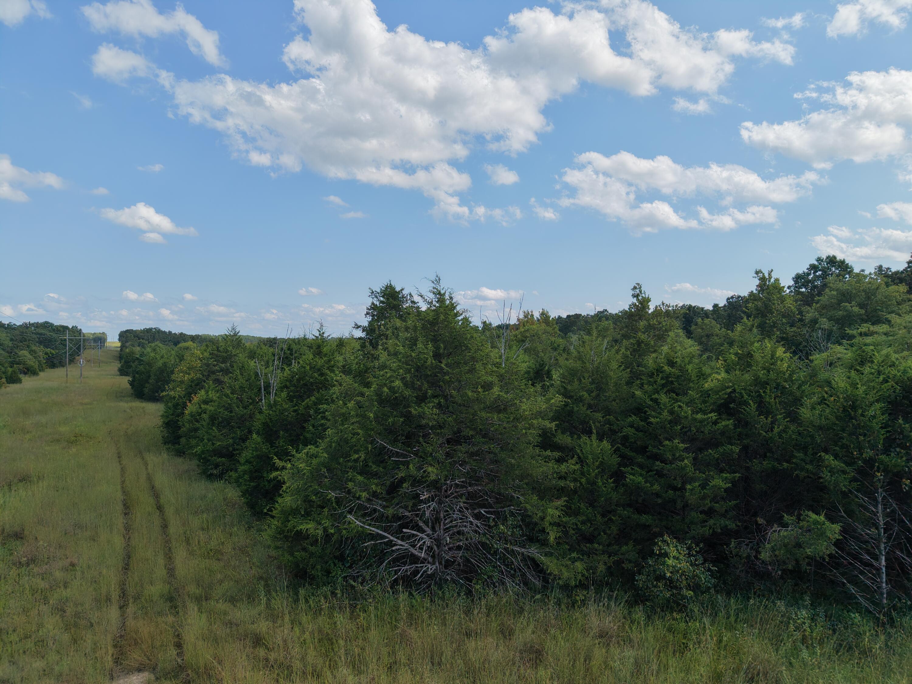4515 Wallen Road Summersville, MO 65571 - Photo 76 of 76 DJI_20260820154227_0088_D
