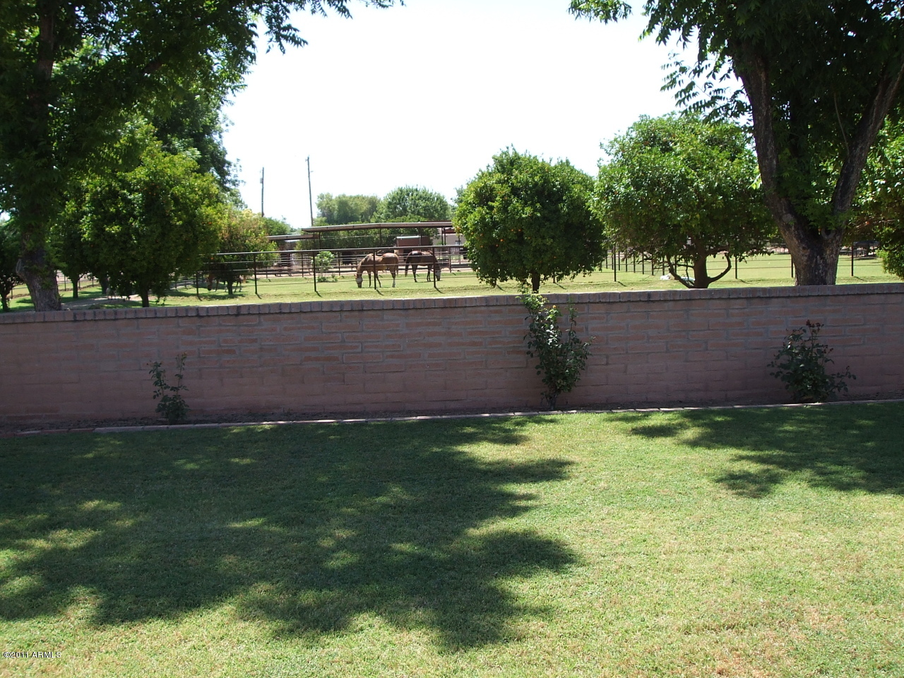 8239 South Terrace Road Tempe, AZ 85284 - Photo 1 of 5 Backyard