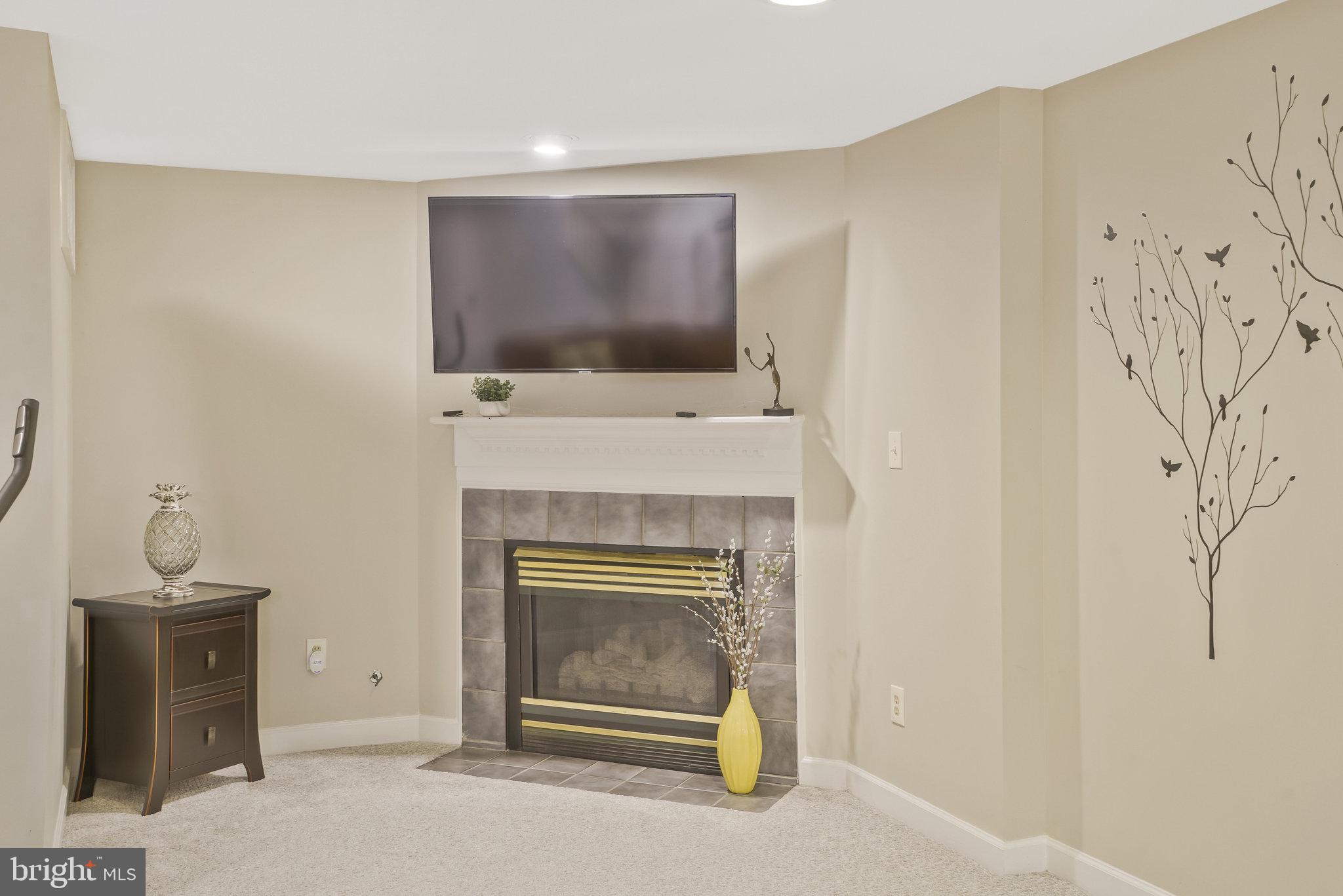 3639 Ransom Place Alexandria, VA 22306 - Photo 49 of 71 Gas fireplace on remote! TV can convey