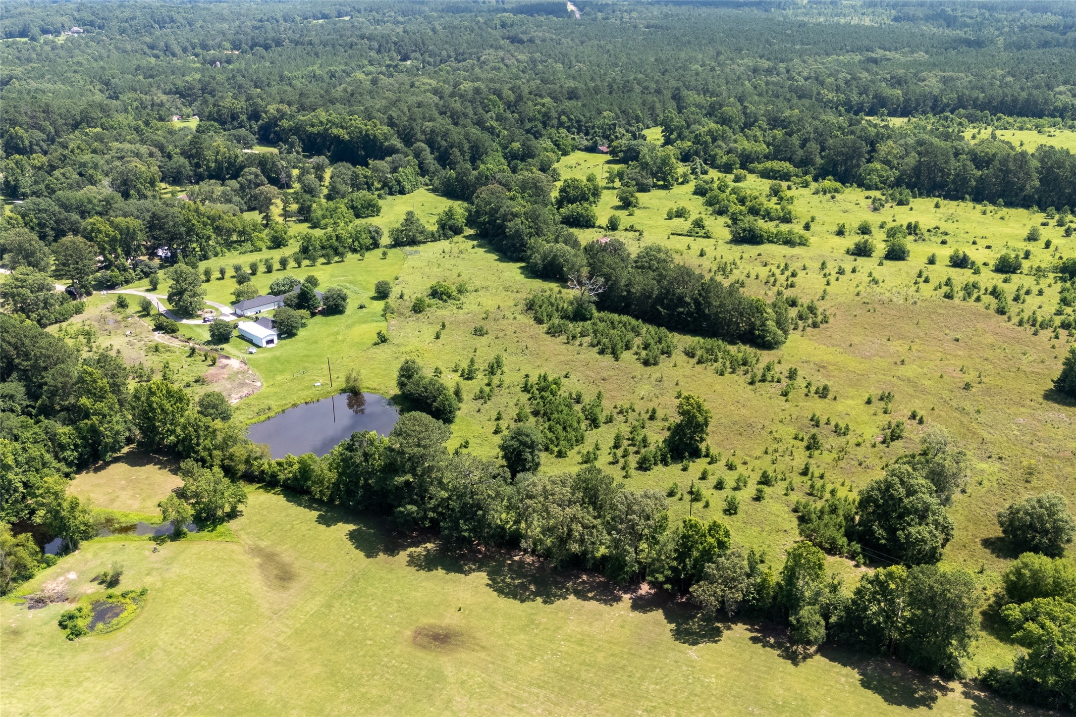 0 R L Moffett Street Goodrich, TX 77335 - Photo 13 of 17 a view of a garden with a fountain