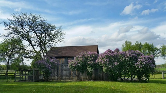 5602 Schultz Road Harvard, IL 60033 - Photo 7 of 25
