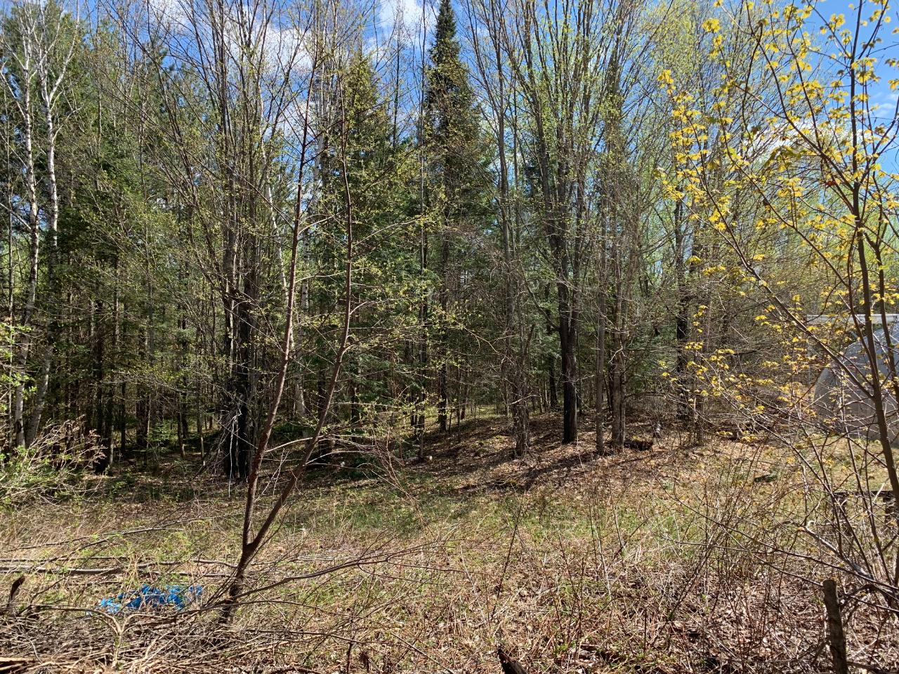 2211 Flowage Road Park Falls, WI 54552 - Photo 6 of 20 Gallery Image 6