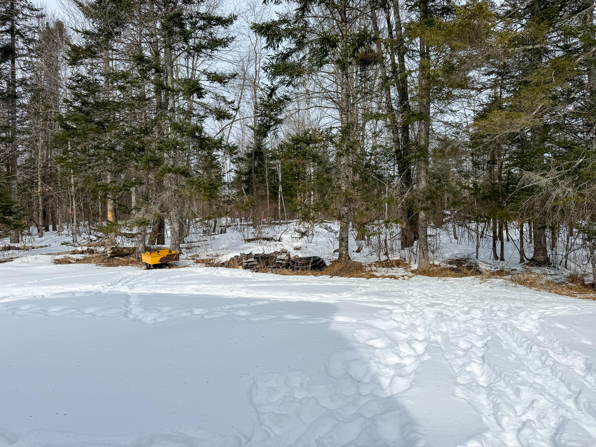 101 Thompson Road Harmony, ME 04942 - Photo 27 of 31 Photo Feb 06 2026, 11 40 32 AM