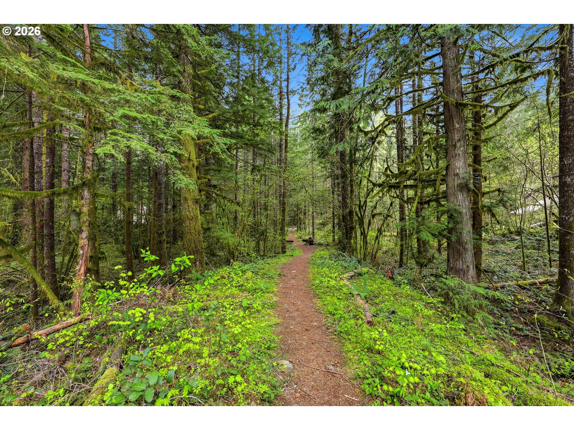 72430 East Smith Loop Rhododendron, OR 97049 - Photo 30 of 44 River Access